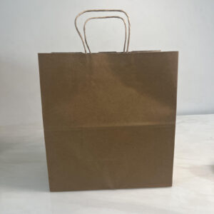 white kraft paper twisted handle bag